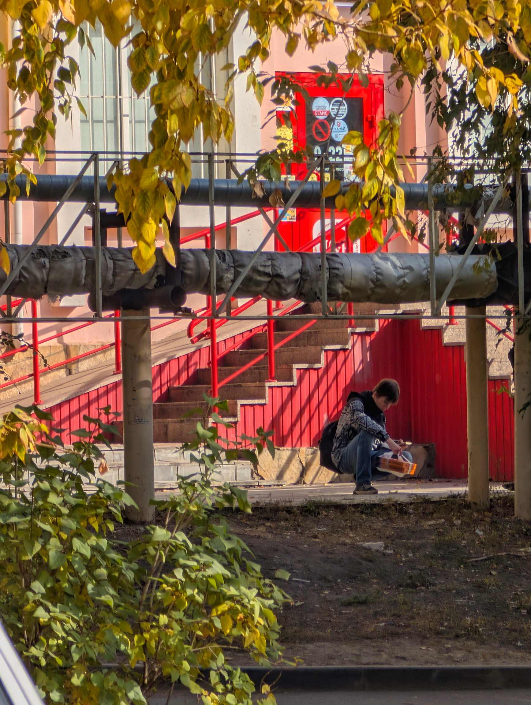 Фотография