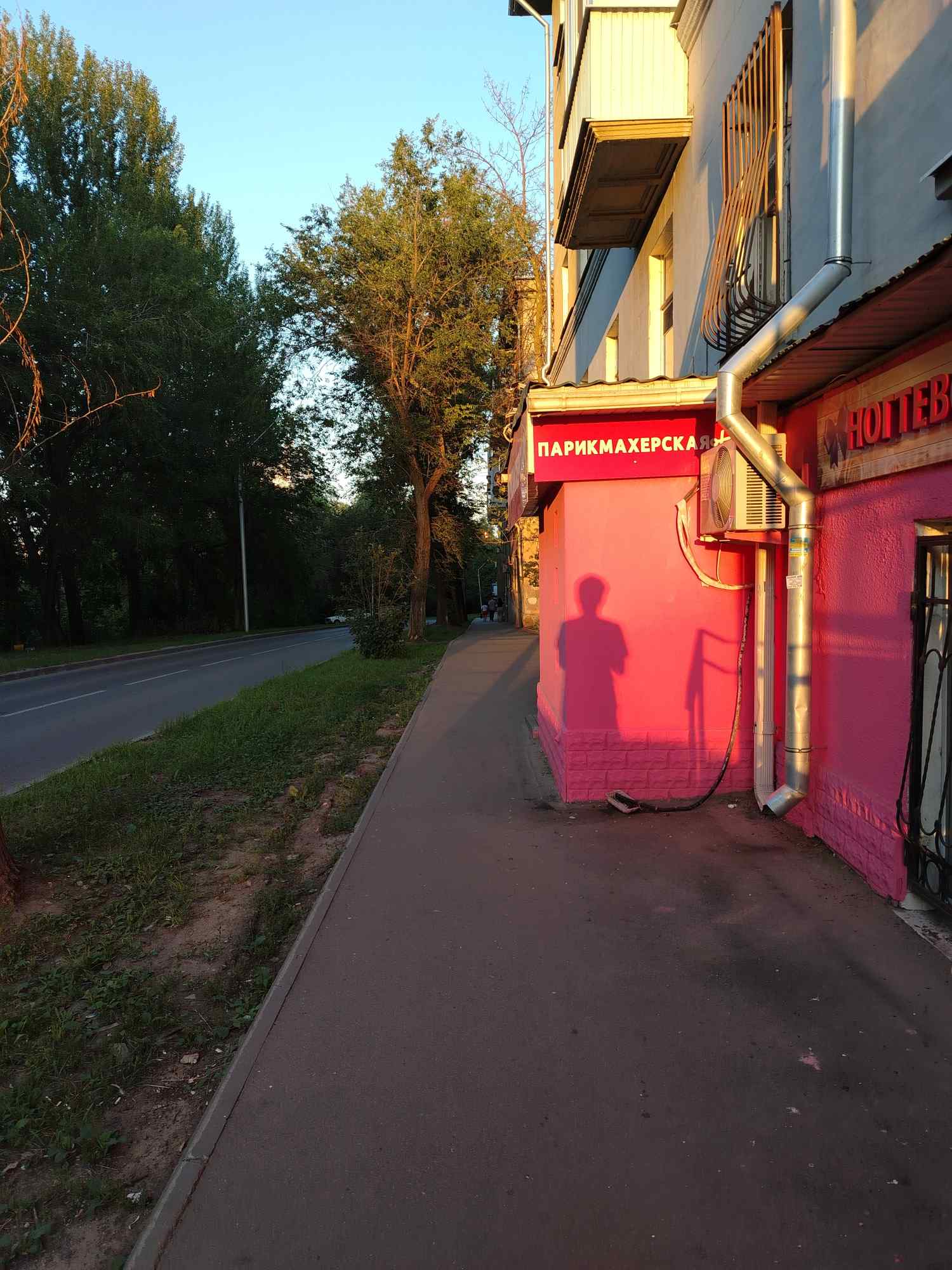 Фотография
