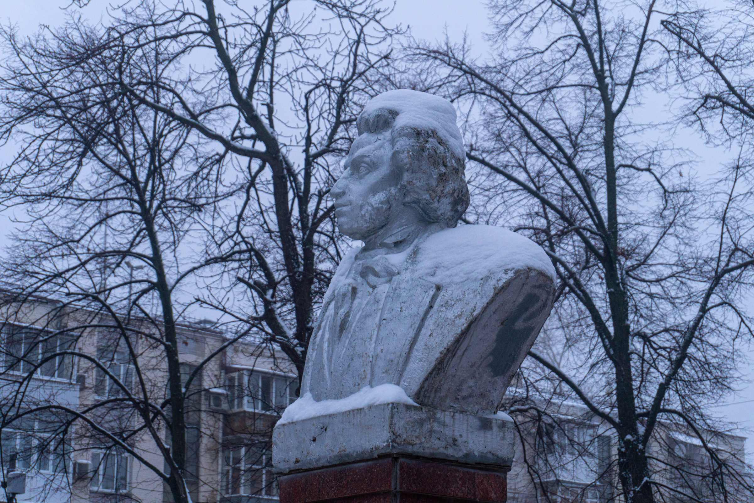 Фотография