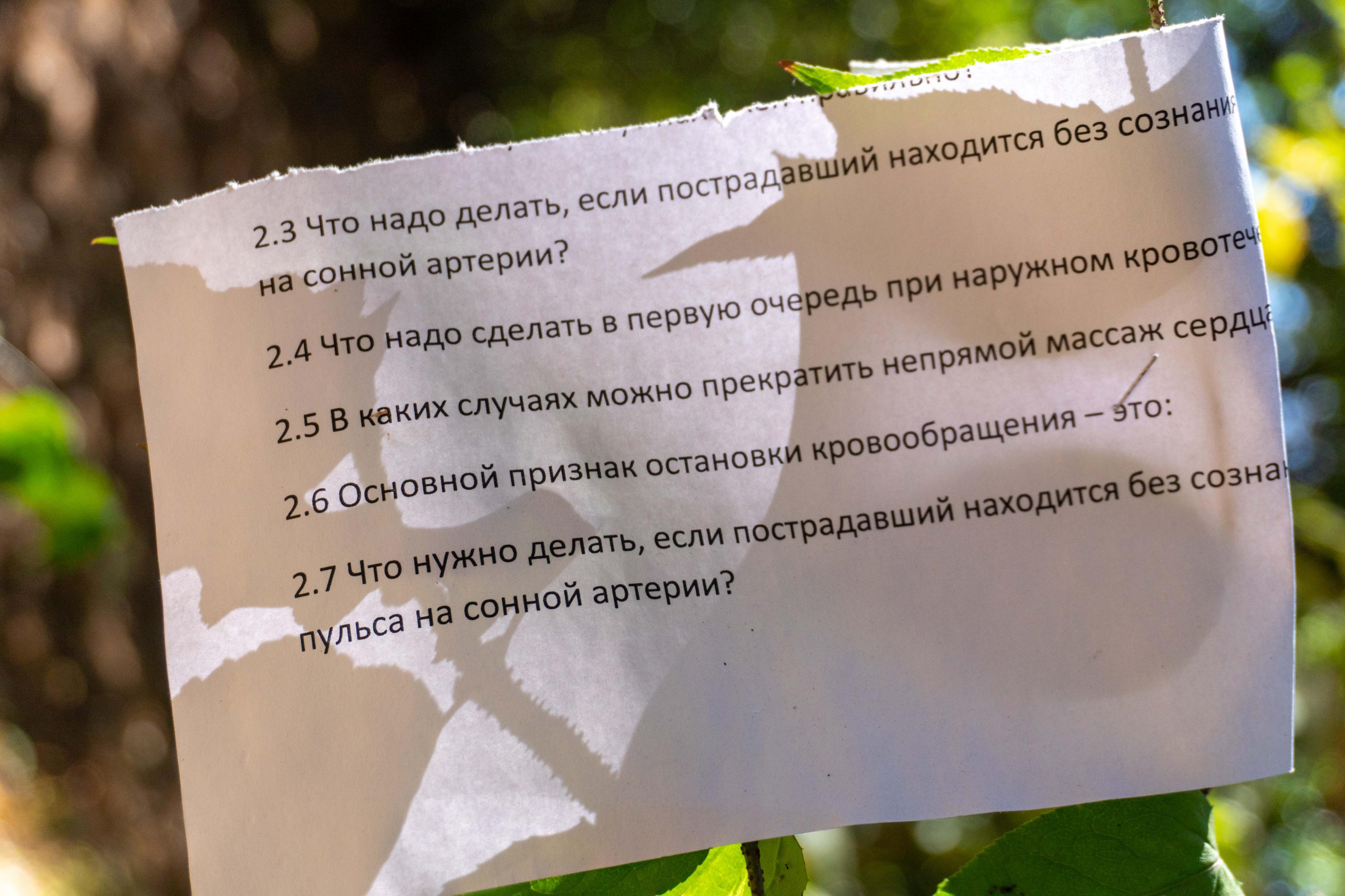 Фотография