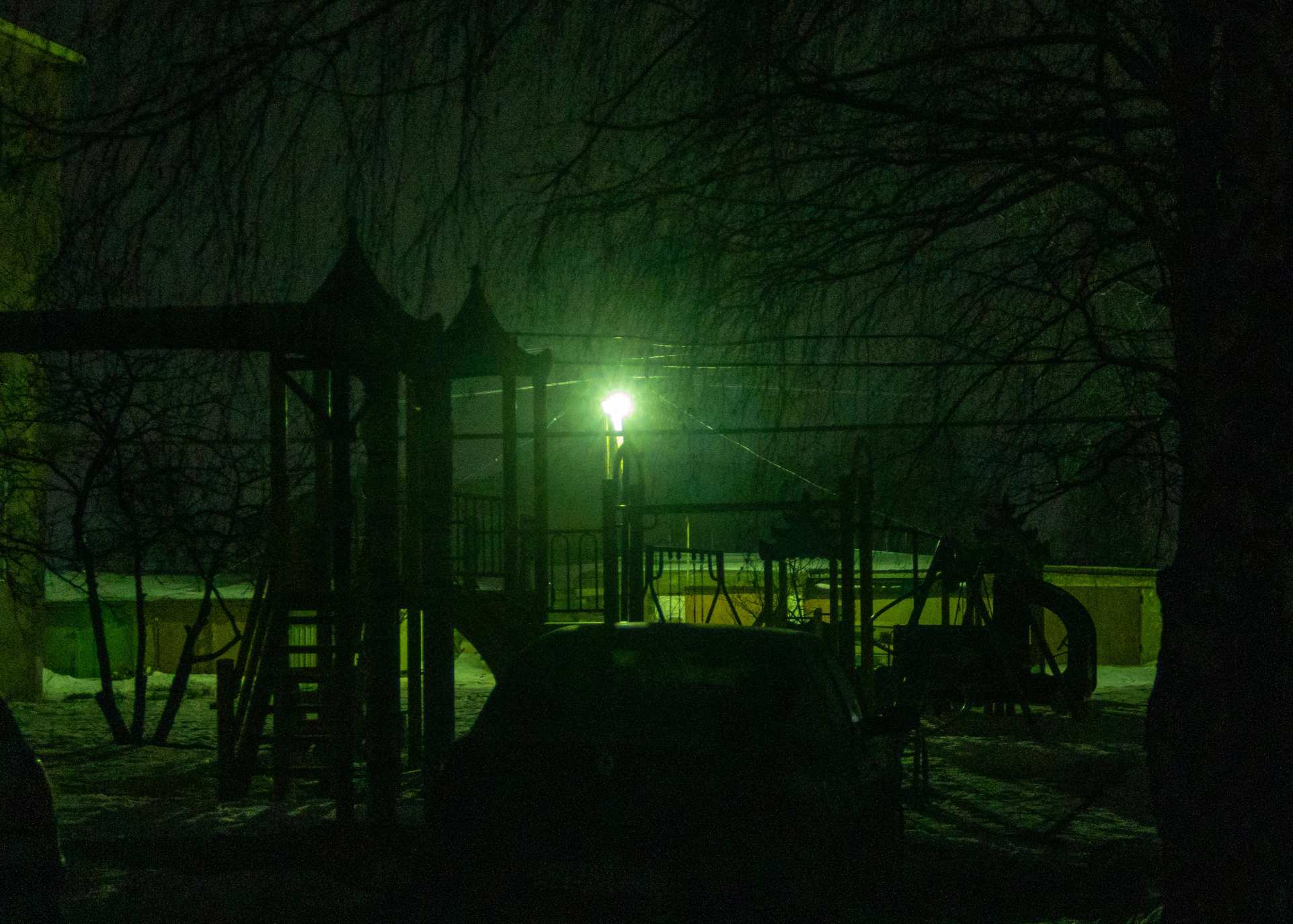 Фотография