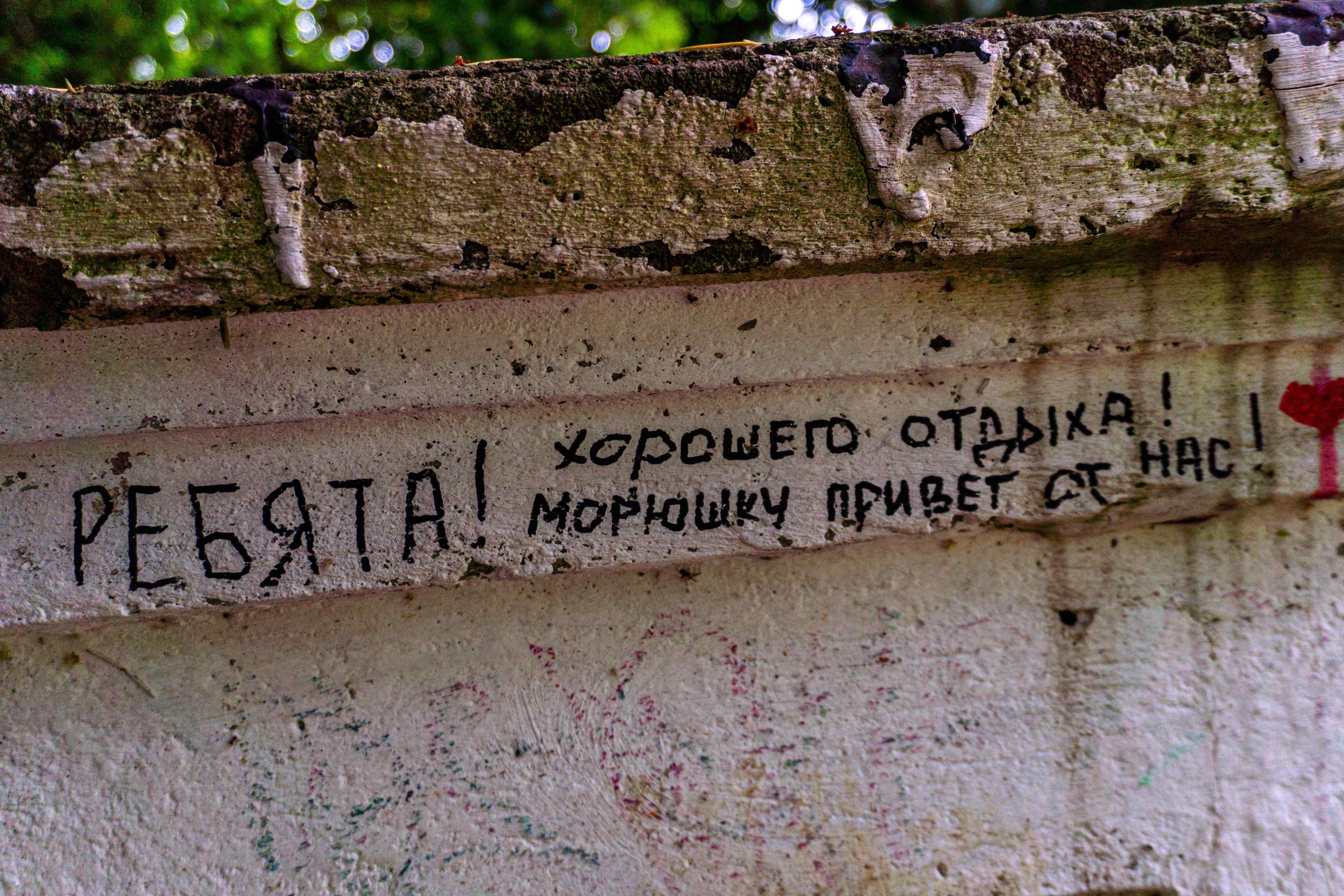 Фотография