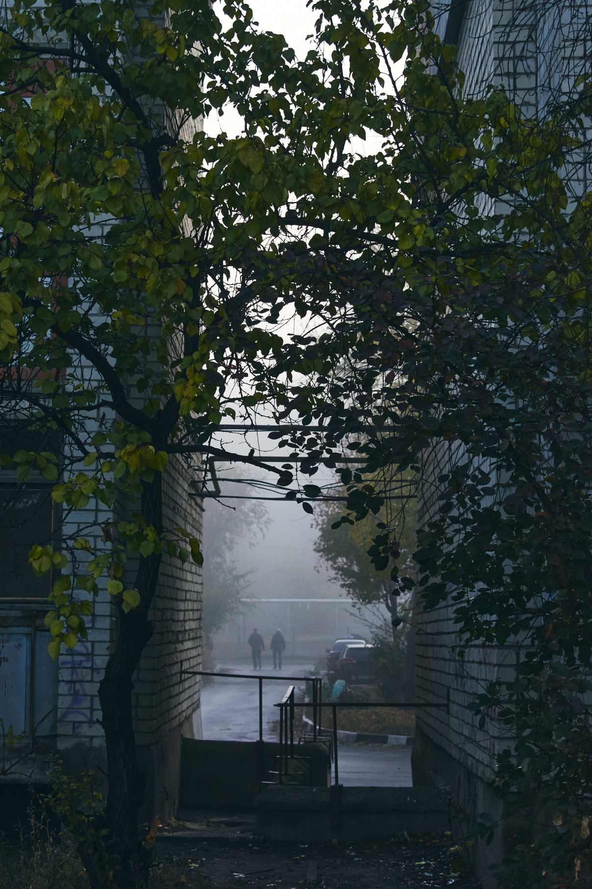 Фотография