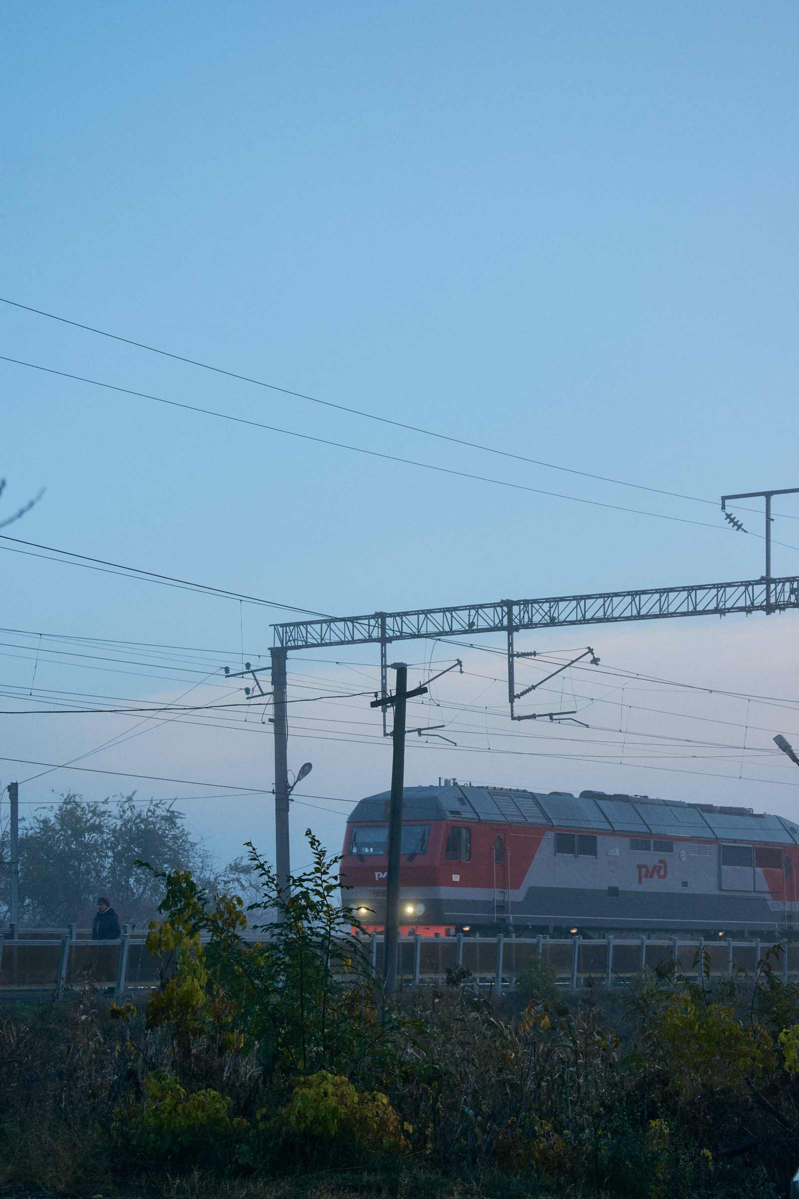 Фотография
