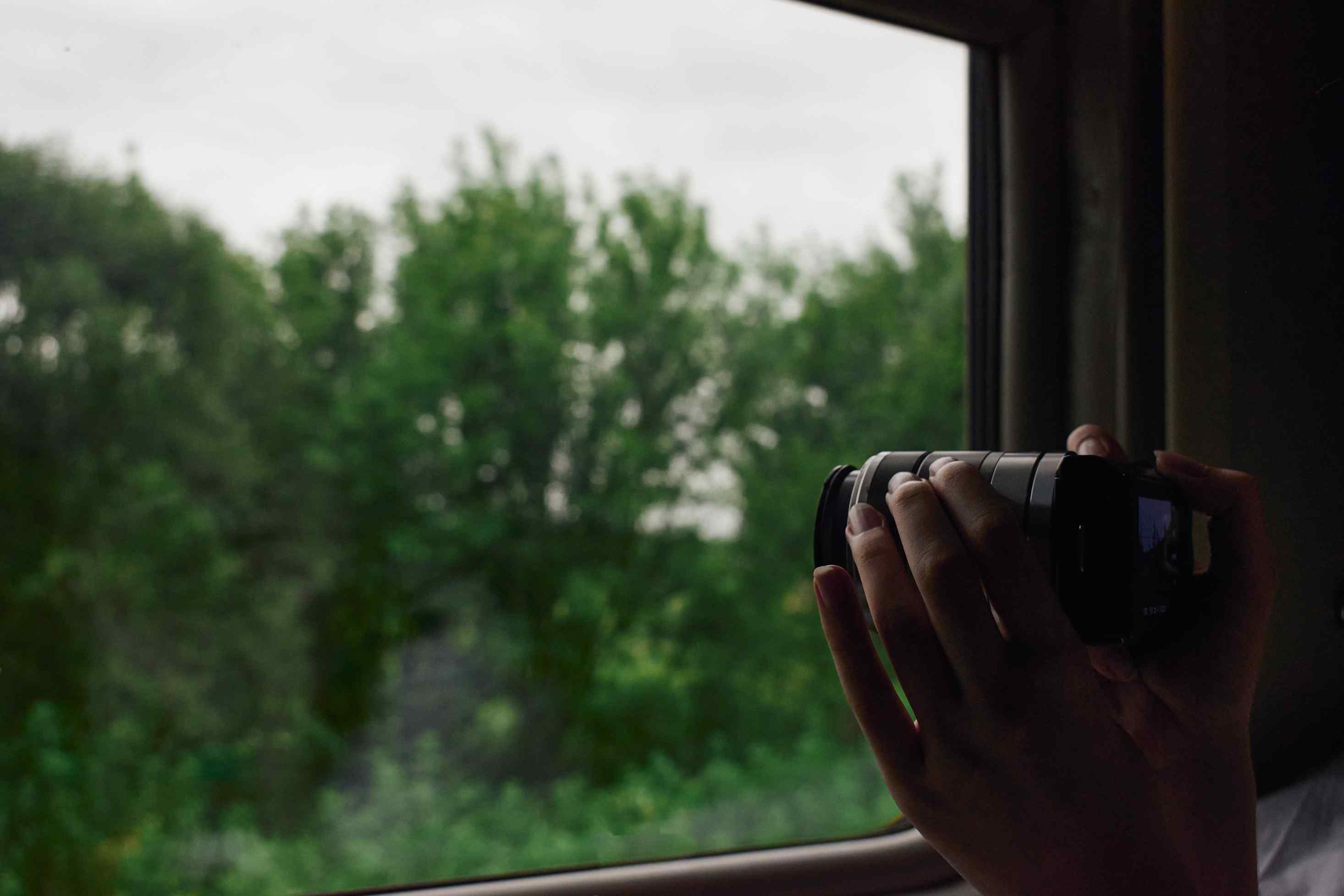 Фотография