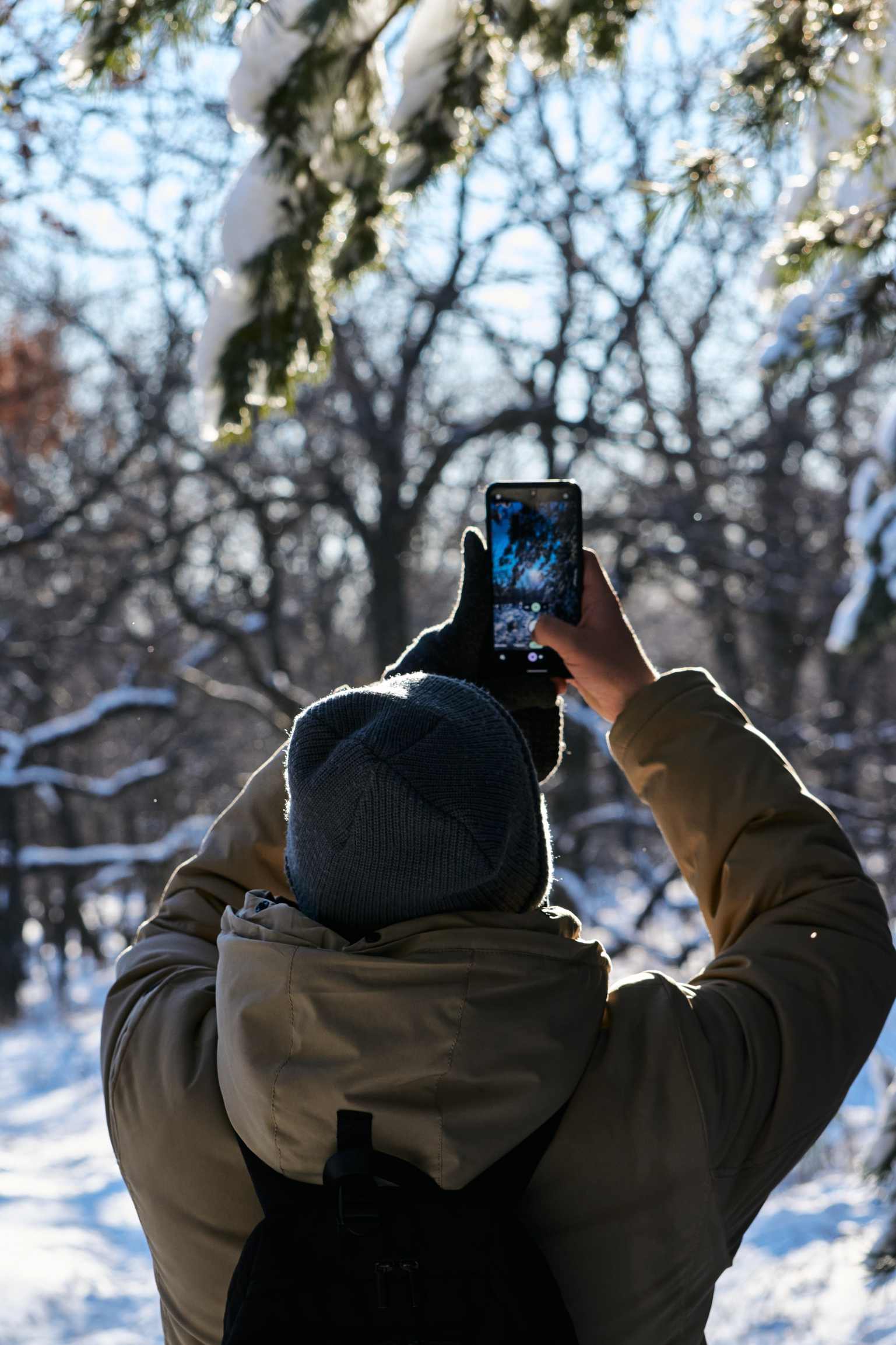 Фотография
