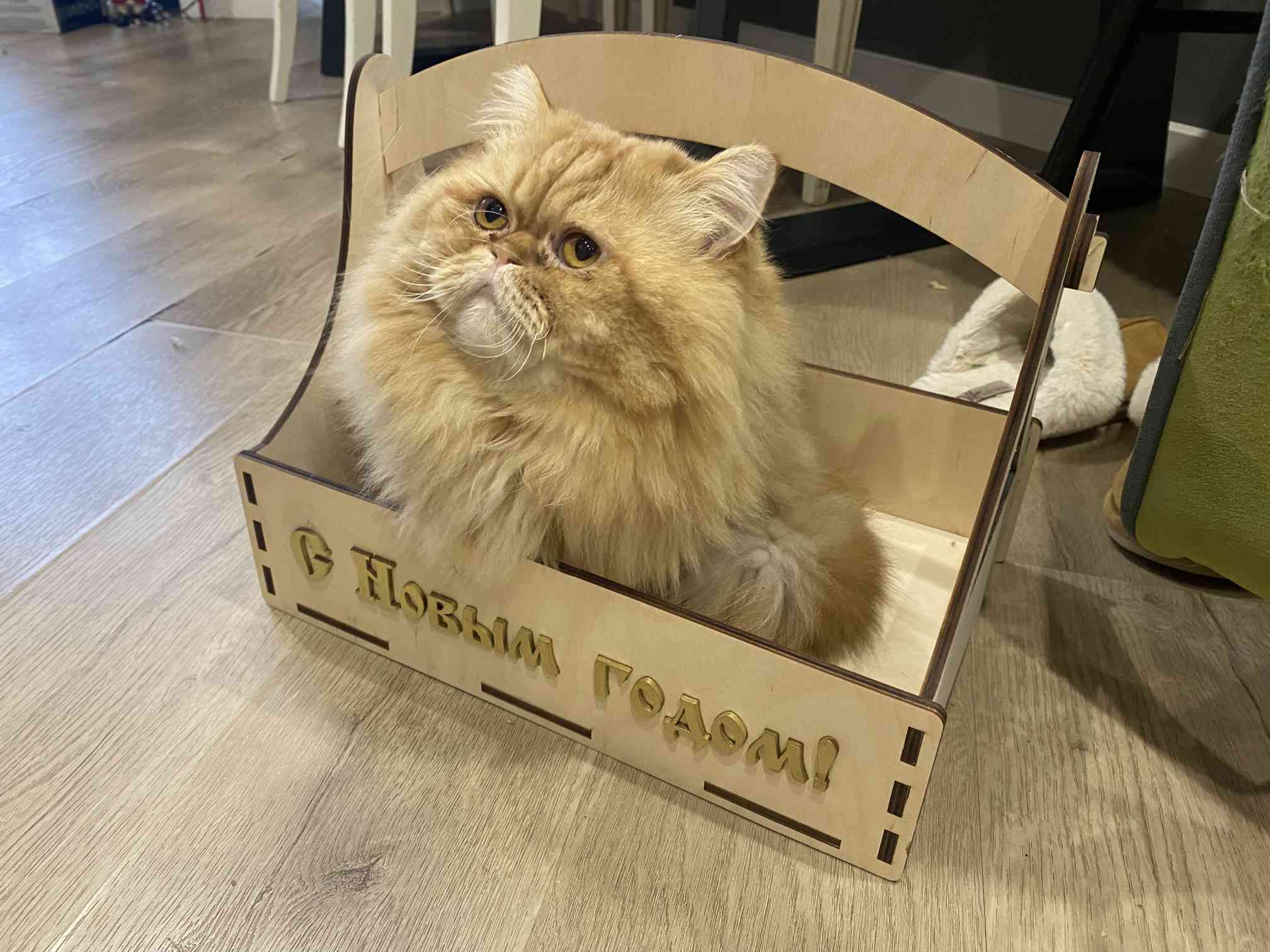 Январь