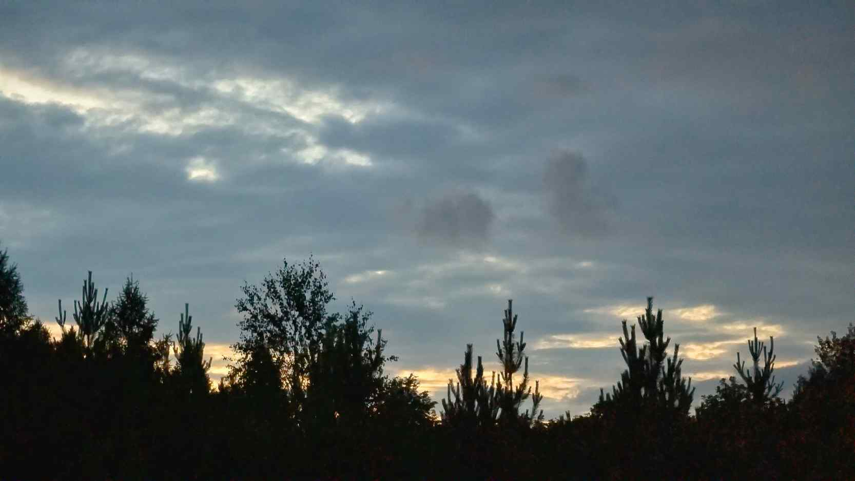 1000000515_1750916878_7820540d05.jpg
