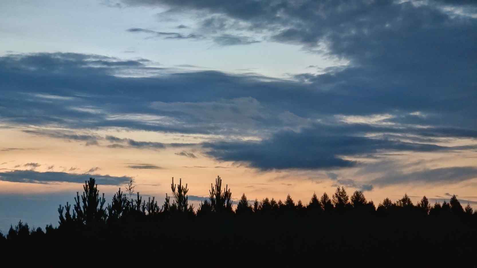 1000000516_1750916881_057b1cc195.jpg