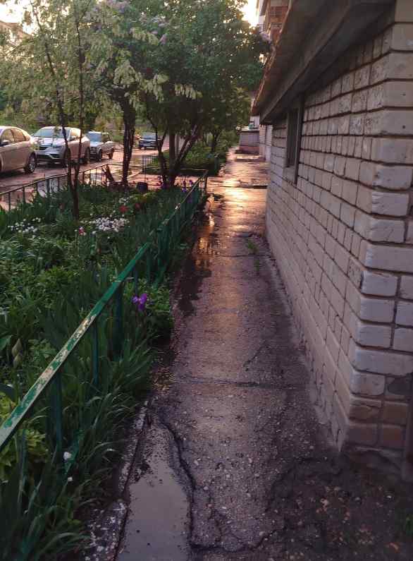 Фото пользователя