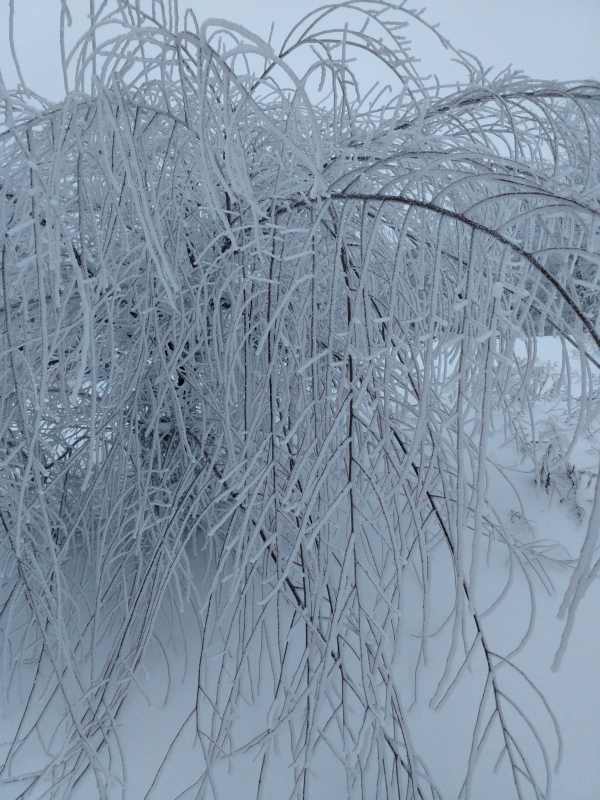 Фото пользователя