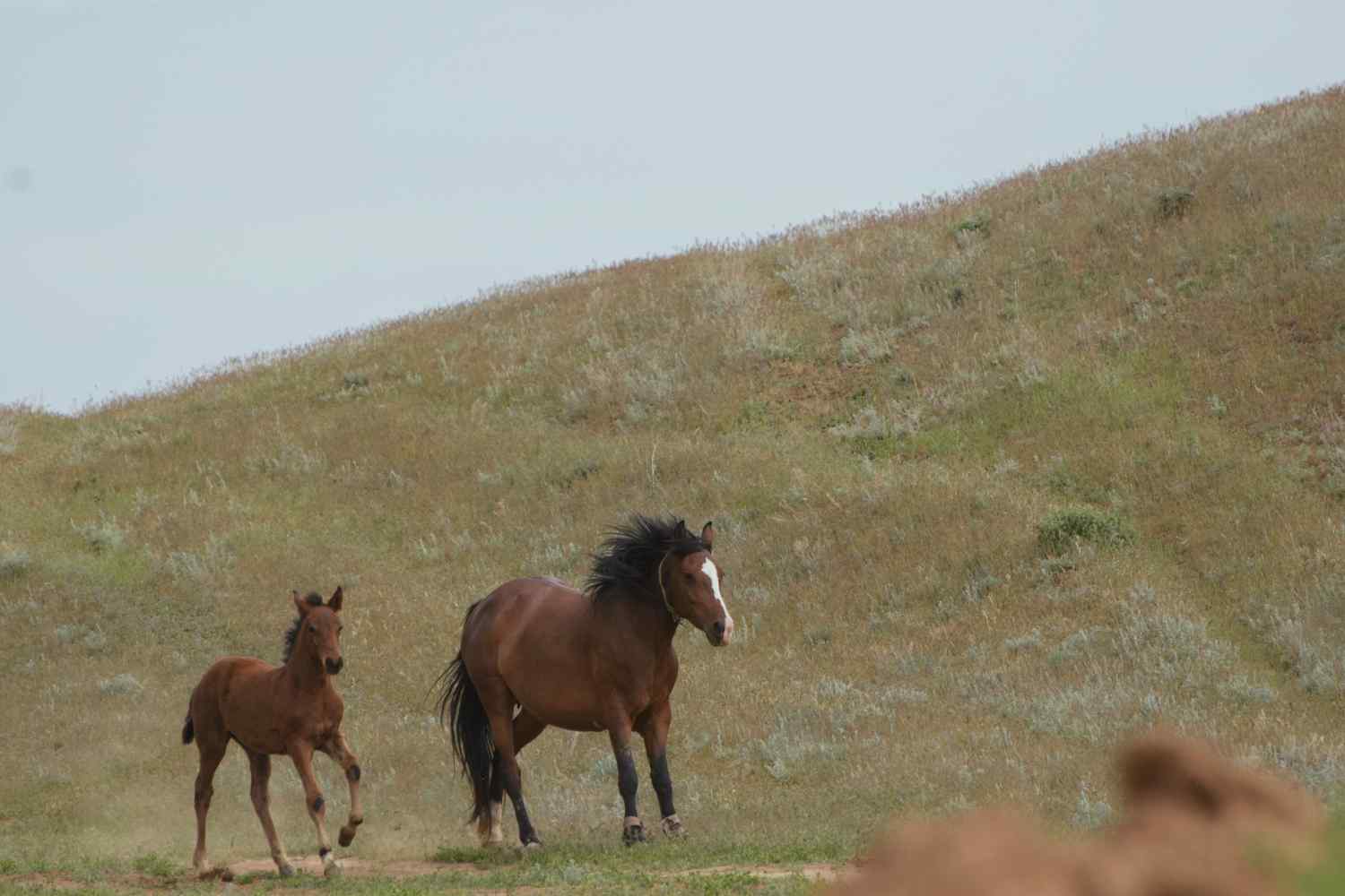 1000022347_1748170422_15af2e91f0.jpg