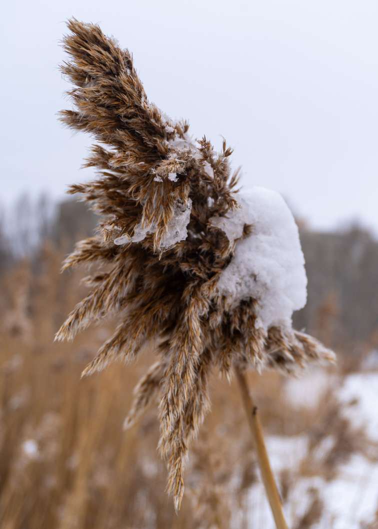 DSC00486_1769973078_a673d62509.jpg