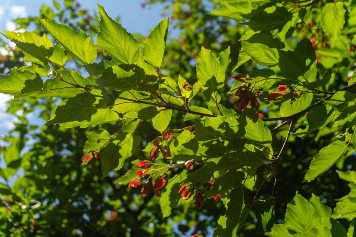 DSC01434_1781560295_dc502901b2.jpg
