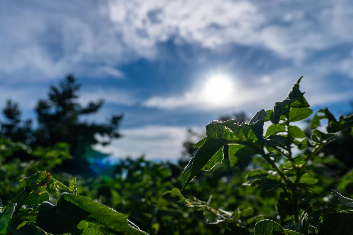 DSC01552_1782637680_cf169441e7.jpg