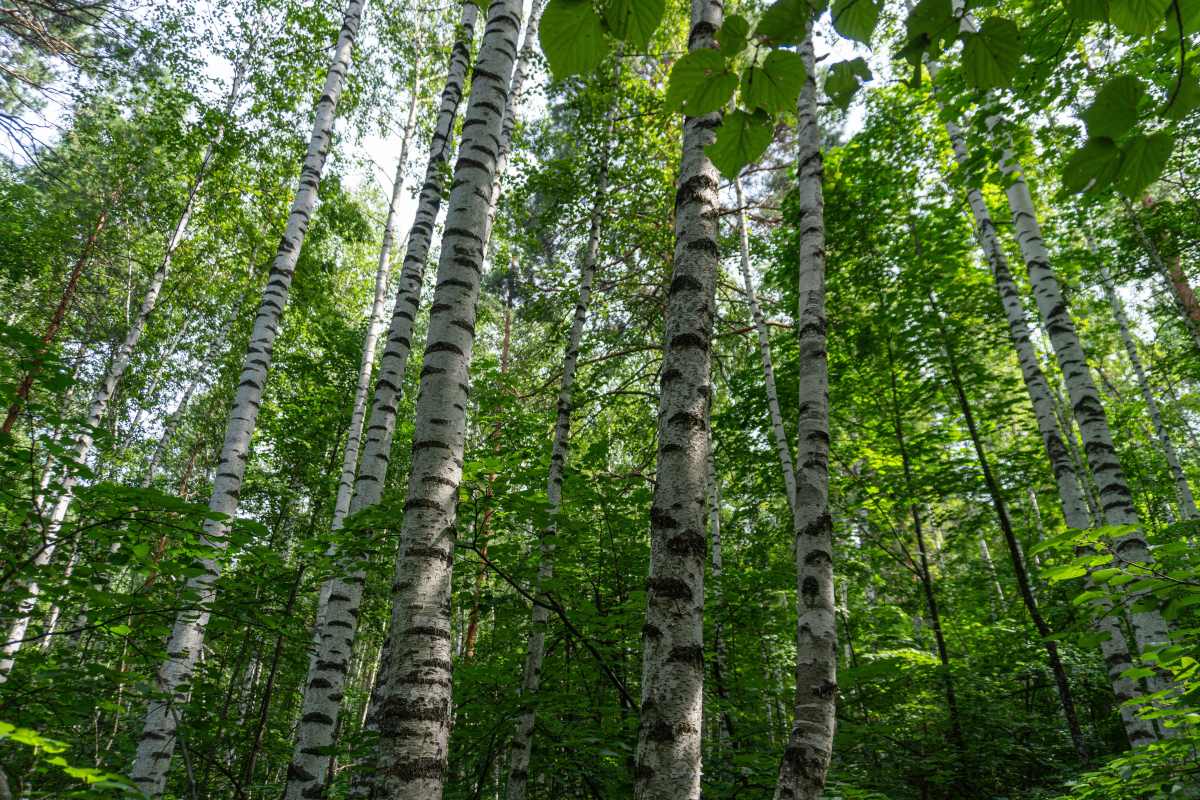 Фото пользователя