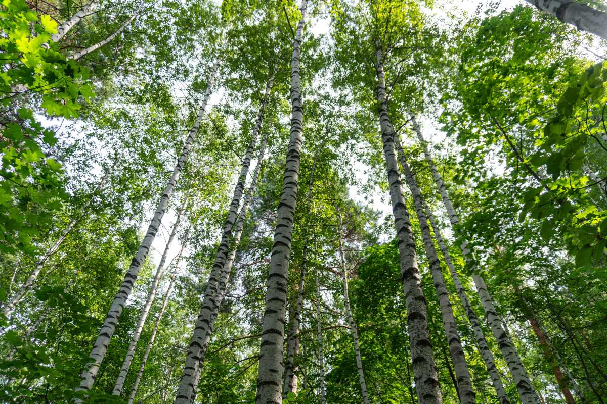 Фото пользователя