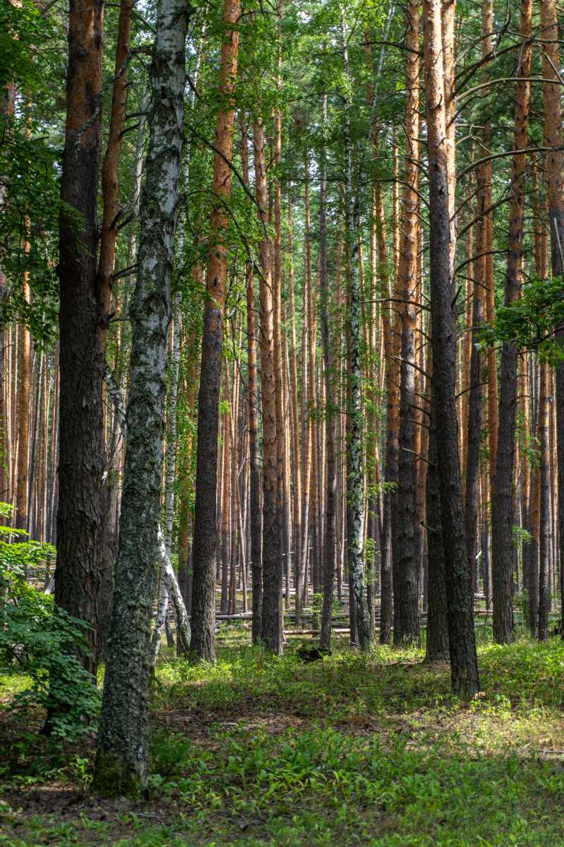 Фото пользователя