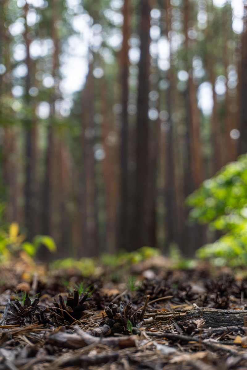 Фото пользователя