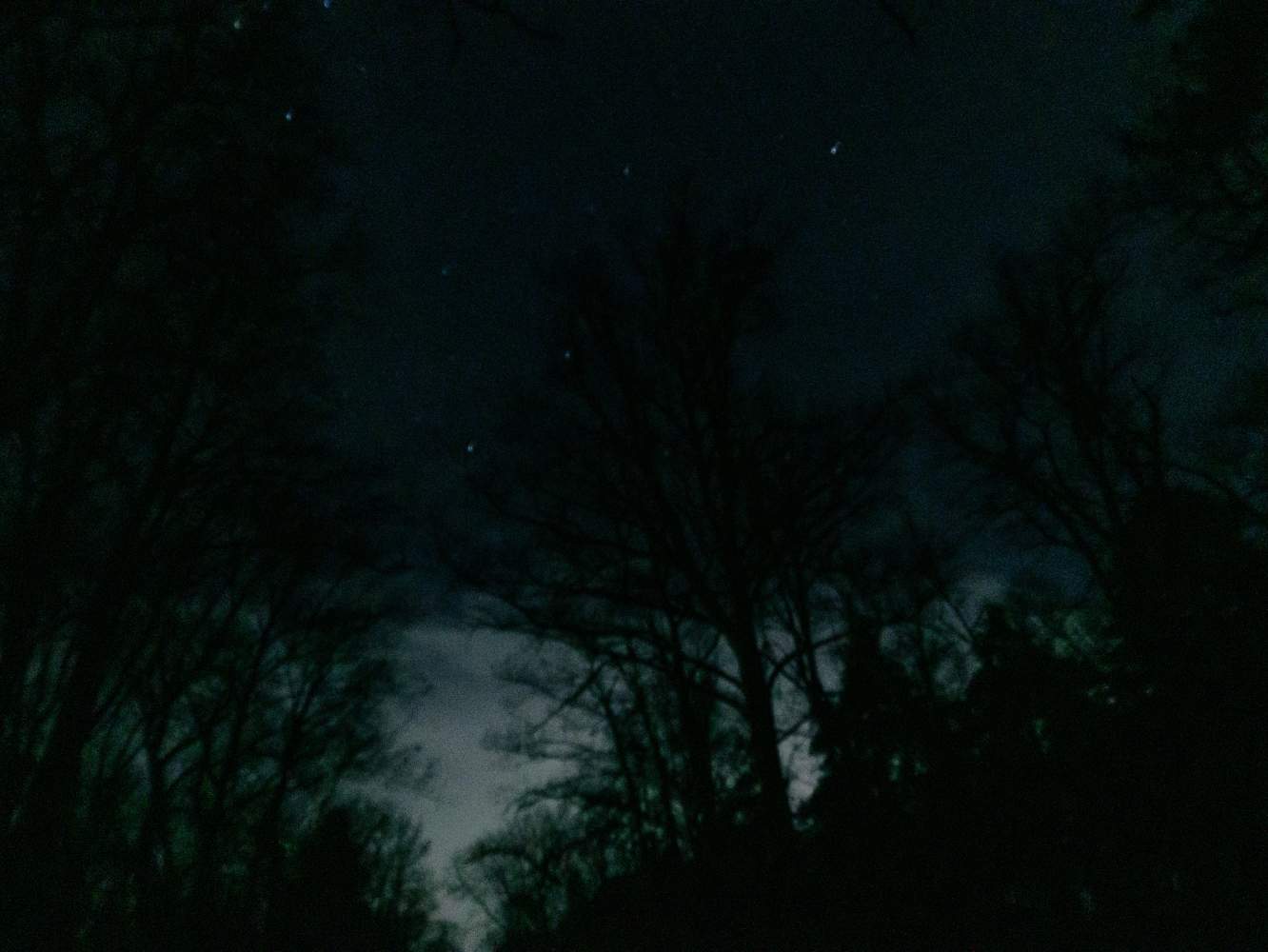 DSC06294.jpg