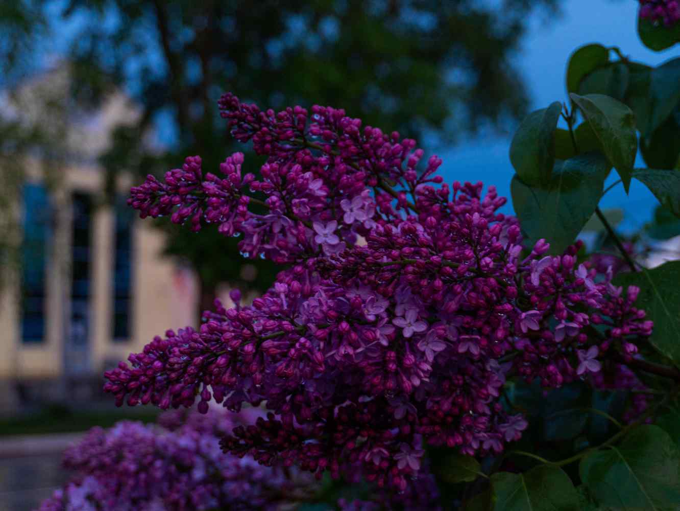 DSC07103_1746216710_edd509312e.jpg