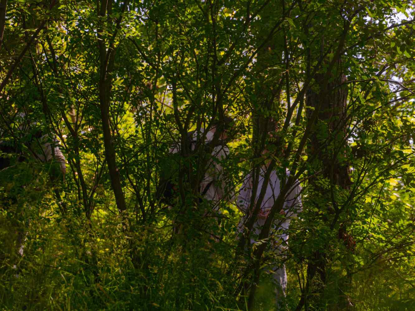 DSC07492_1748031242_63116454cf.jpg