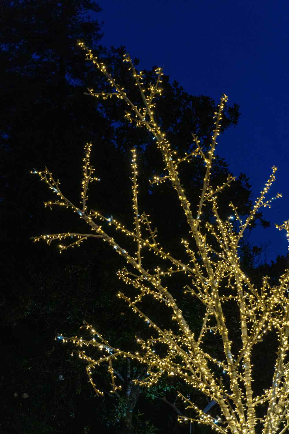 DSC07864_1753446665_3132d44e60.jpg