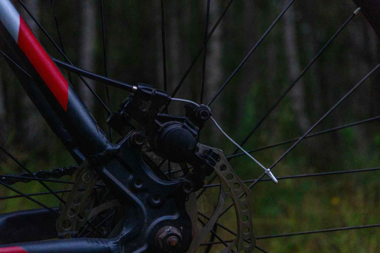 DSC08186_1754340414_86f540f73f.jpg
