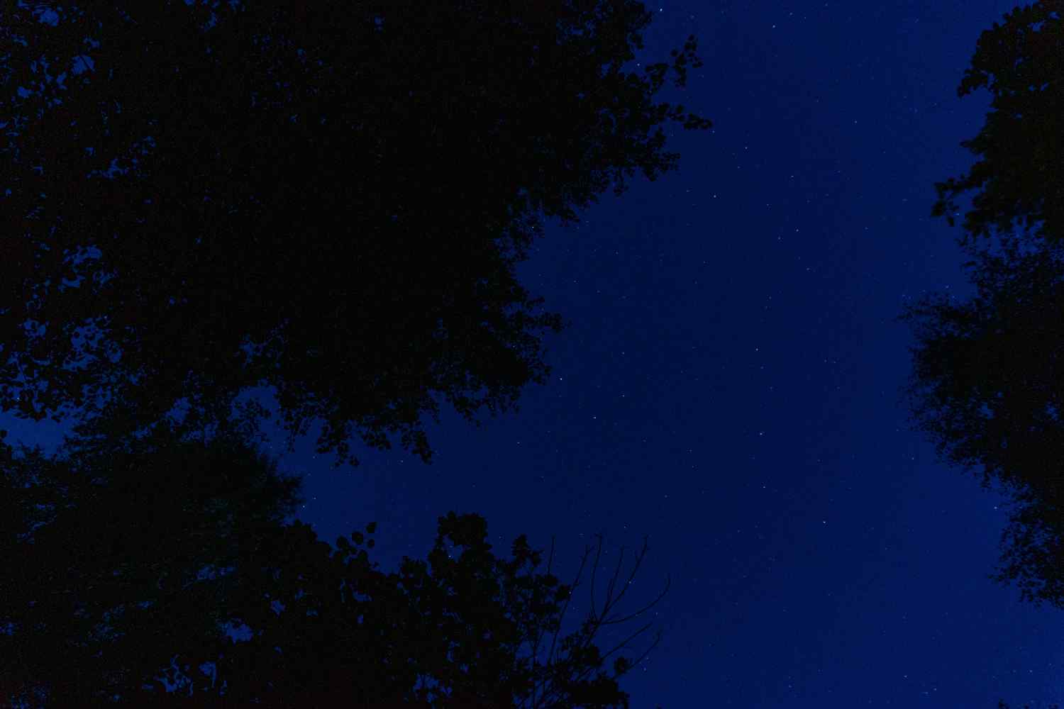 DSC08201_1754563975_ef70873a11.jpg