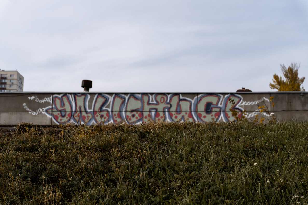 DSC09250_1759924306_e90ef79c16.jpg