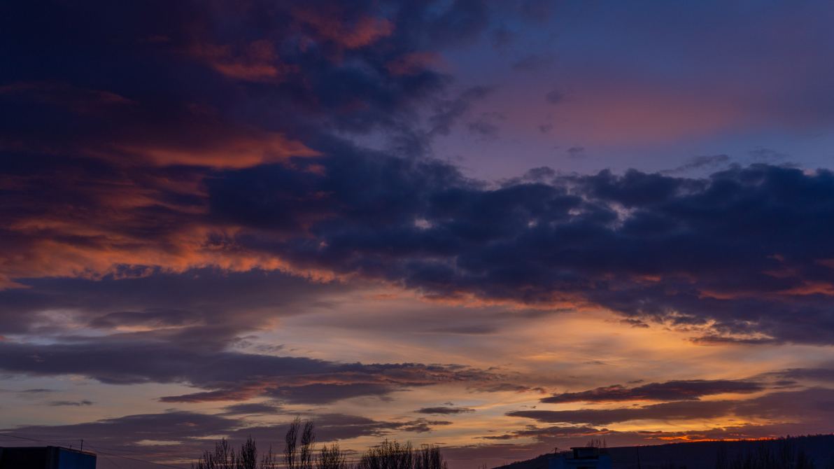 DSC09761_1763398807_b2c5df6a54.jpg