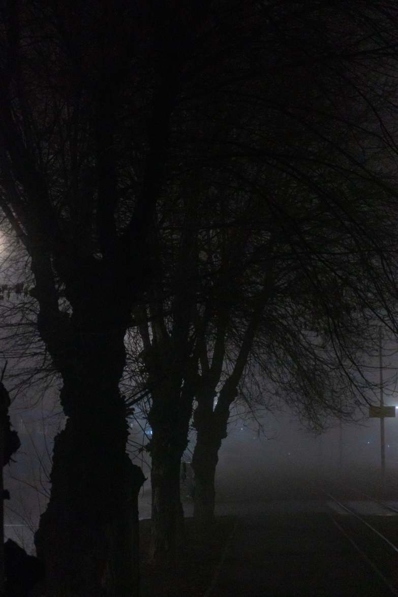 DSC09905_1763901529_26dd7132ea.jpg