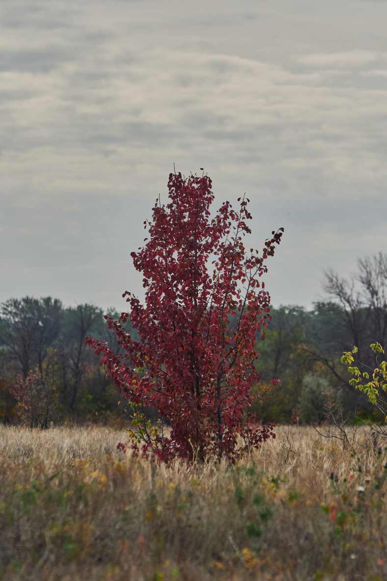 DSC_0025_1762326043_d6964cd8d9.jpg