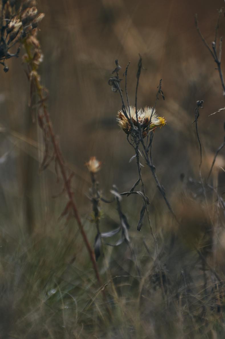DSC_0030_1761565575_ba14543979.jpg