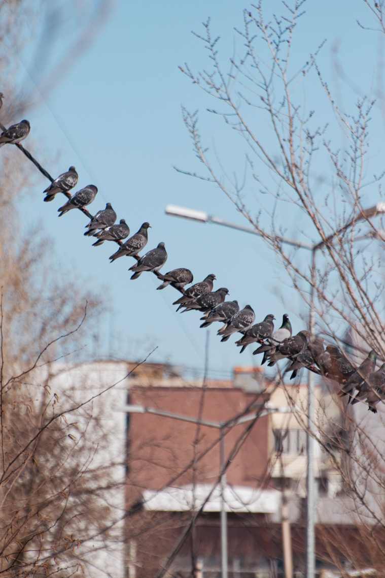 DSC_0032_1775551623_53827593fb.jpg