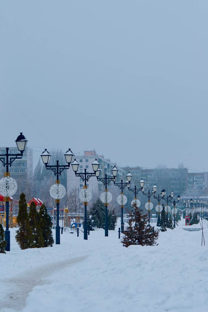 DSC_0067_1769968726_598235b2e7.jpg