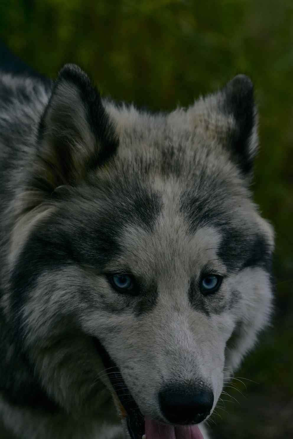 DSC_0080_1755502331_4dc3d0f74a.jpg