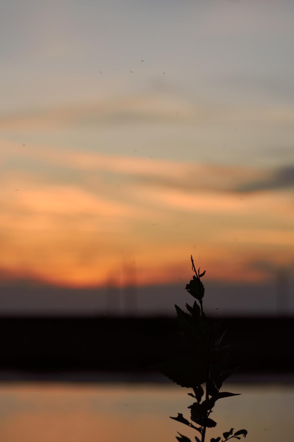DSC_0091_1756041526_a9b7bc0c09.jpg