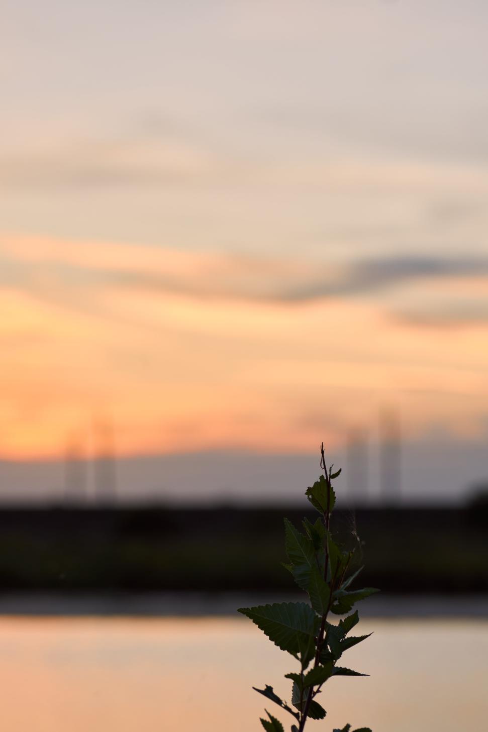 DSC_0092_1756041567_fe058febd6.jpg