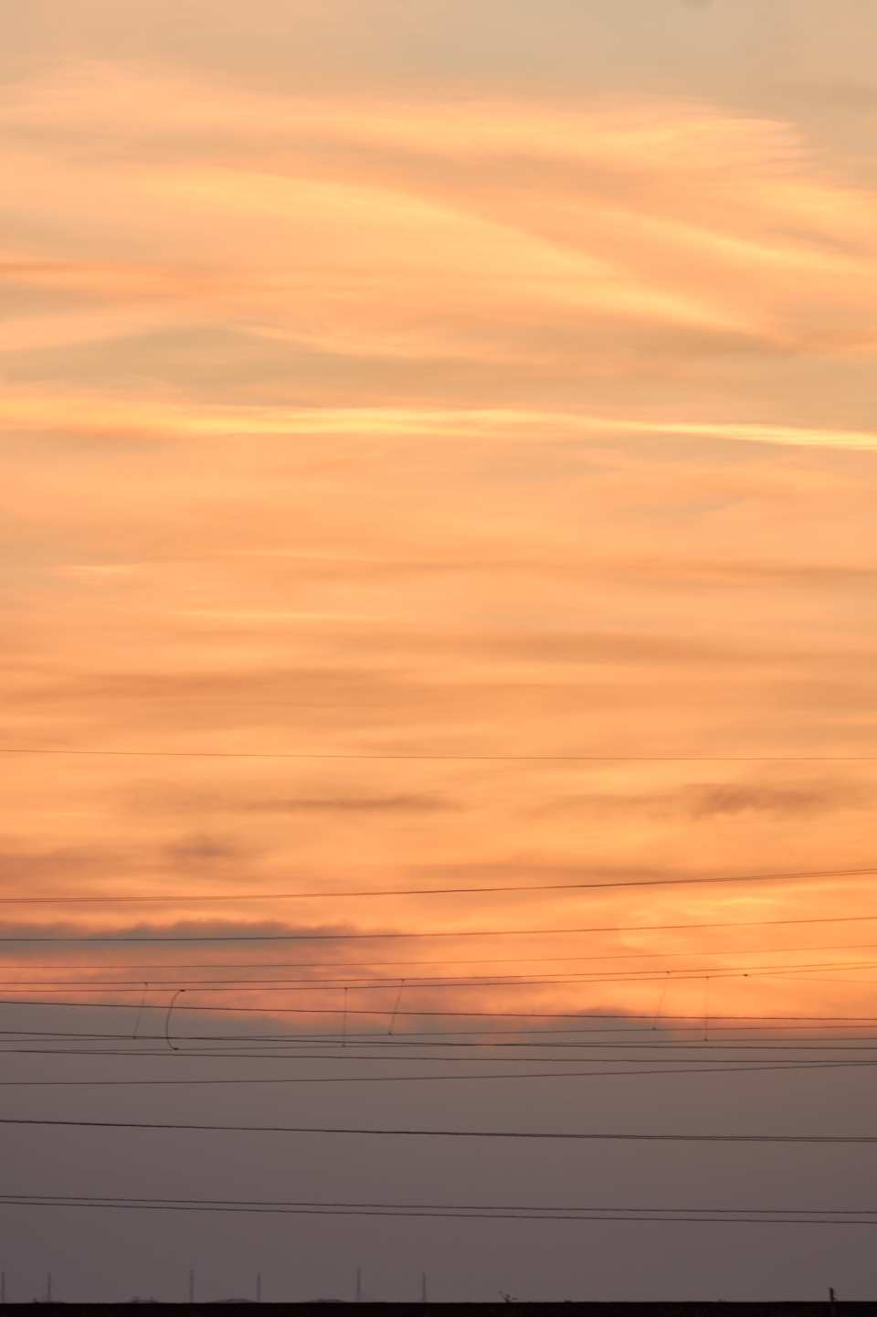 DSC_0093_1756041607_f26a003df2.jpg