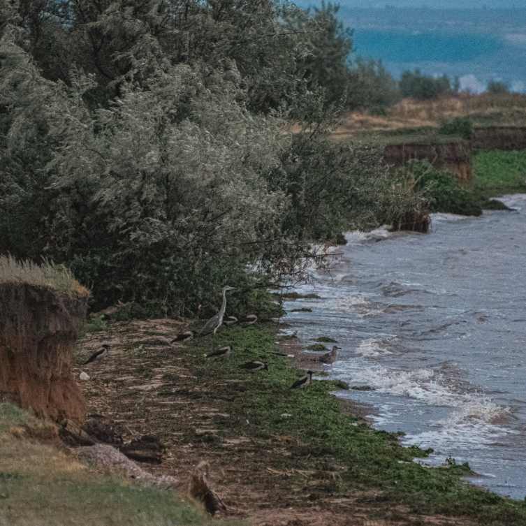 Фото пользователя