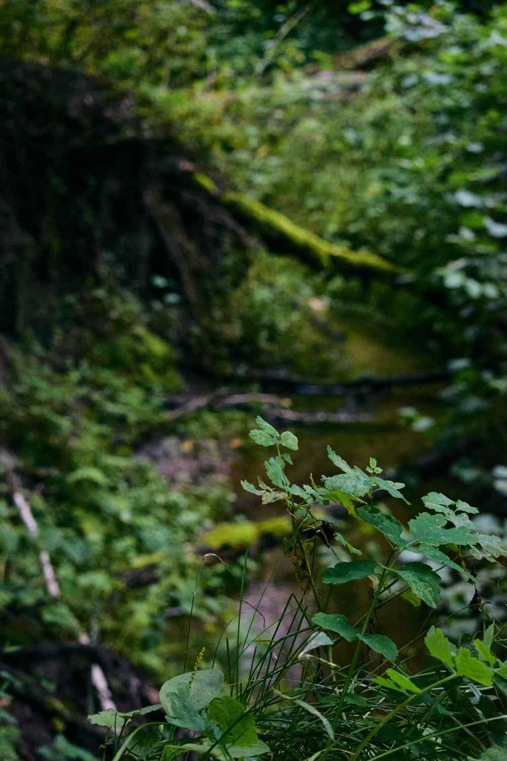 DSC_0128_1755502482_c007926061.jpg