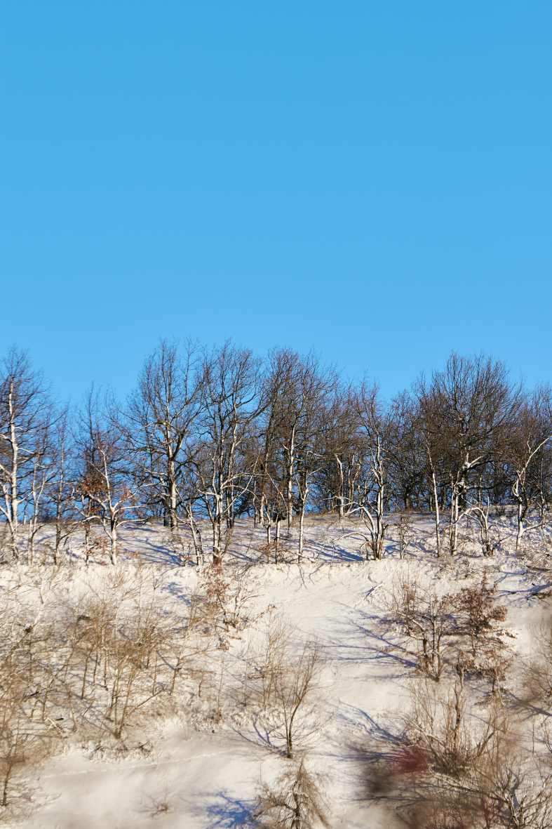 DSC_0131_1766652358_c93771b96f.jpg