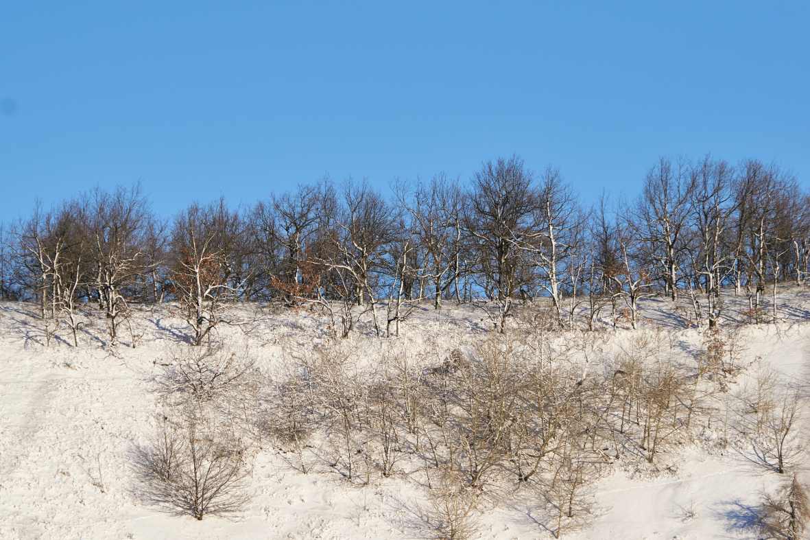 DSC_0156_1766652616_9262af2701.jpg