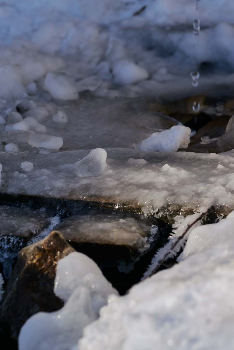DSC_0173_1766652873_f9bdd97d68.jpg