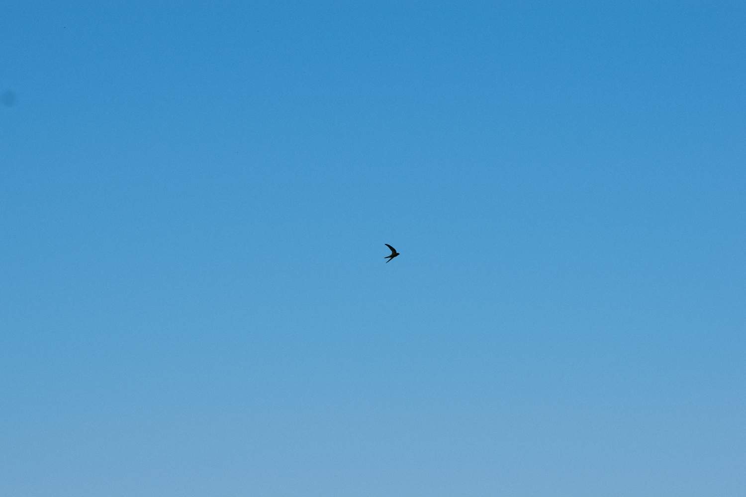 DSC_0179_1753450627_89099ea802.jpg
