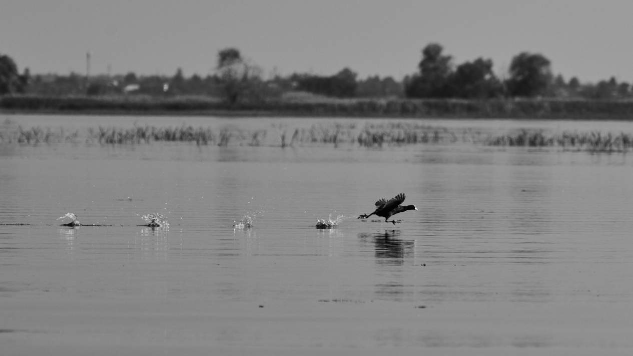 DSC_0179_1754056313_6d865a7533.jpg