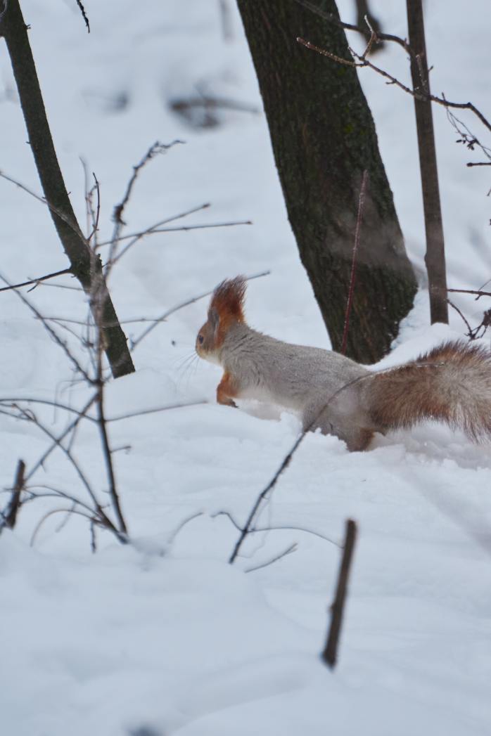 DSC_0194_1769969564_4f53c7b3e6.jpg