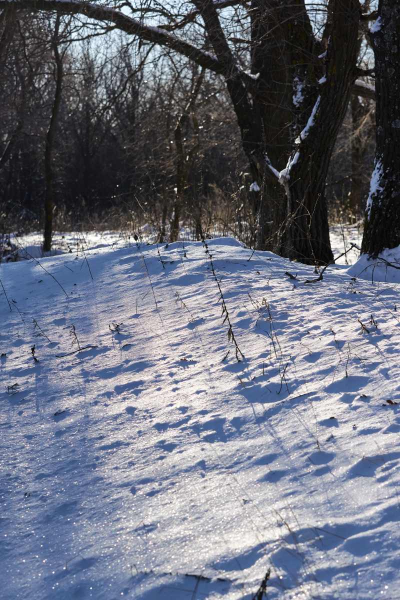 DSC_0204_1766653379_d29e5e4694.jpg