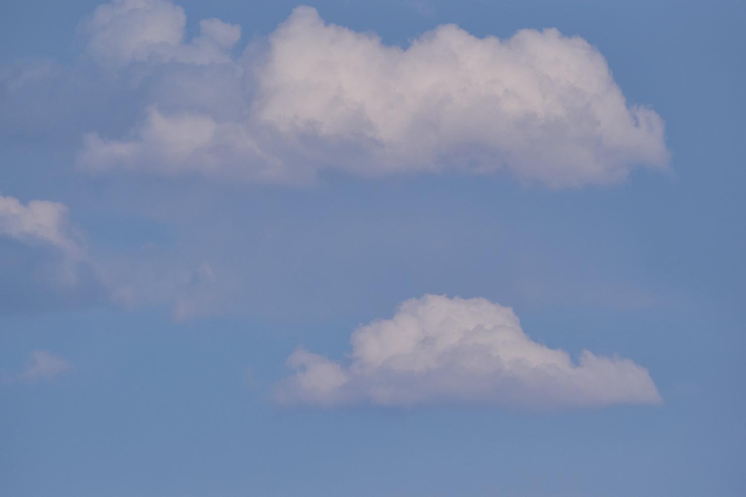 DSC_0263_1753450648_793d229559.jpg